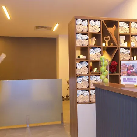 酒店 老城帕拉斯林荫大道酒店 4*