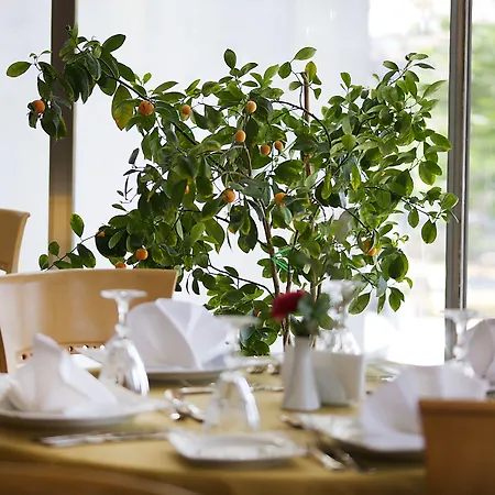 Bulvar Hotel Istambul